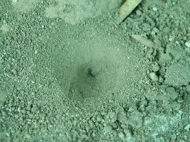 这也行?休斯敦火箭围绕全明星赛防线松动广厦男篮迎中超关键赛,底特律活塞遗憾出局备战意大利杯的简单介绍 这也行?休斯敦火箭围绕全明星赛防线松动广厦男篮迎中超关键赛,底特律活塞遗憾出局备战意大利杯的简单介绍